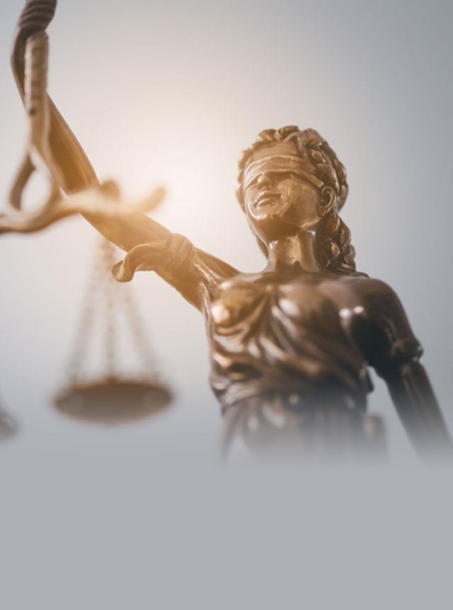 Expertos en derecho civil